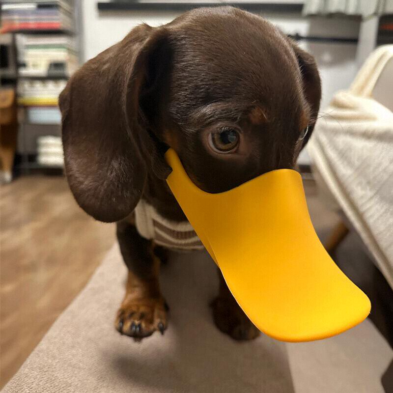 Dog Muzzle Silicone - Silikonowy kaganiec dla psa w kształcie