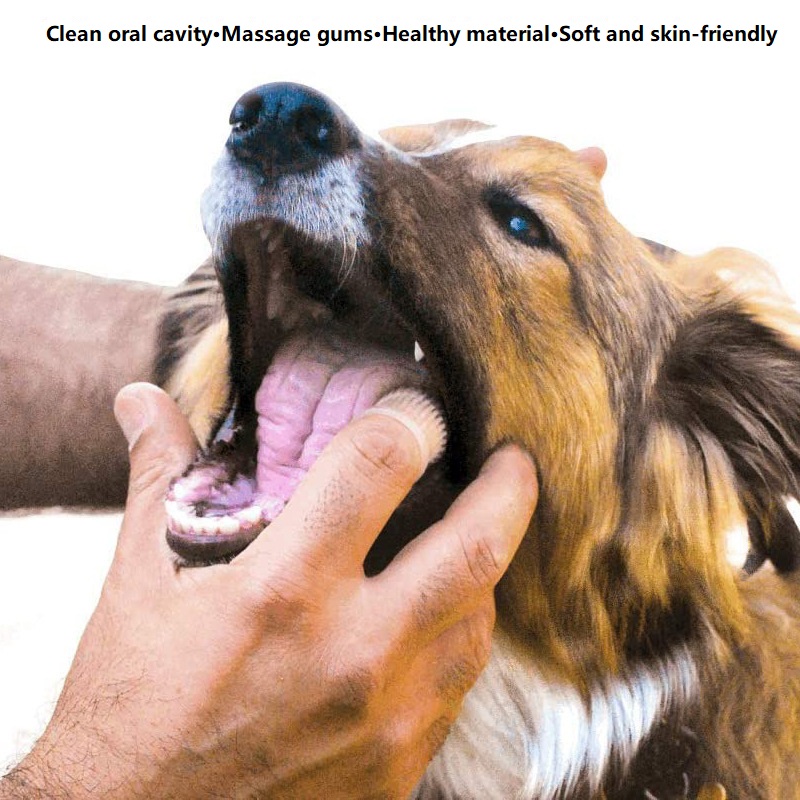 3 szt. Czyszczenie zębów dla p – Dog Muzzle Silicone recenzja i cena