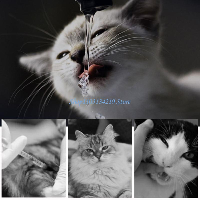 N5KC koty domowe fontanna filt – Cat Water Fountain Filter recenzja i cena