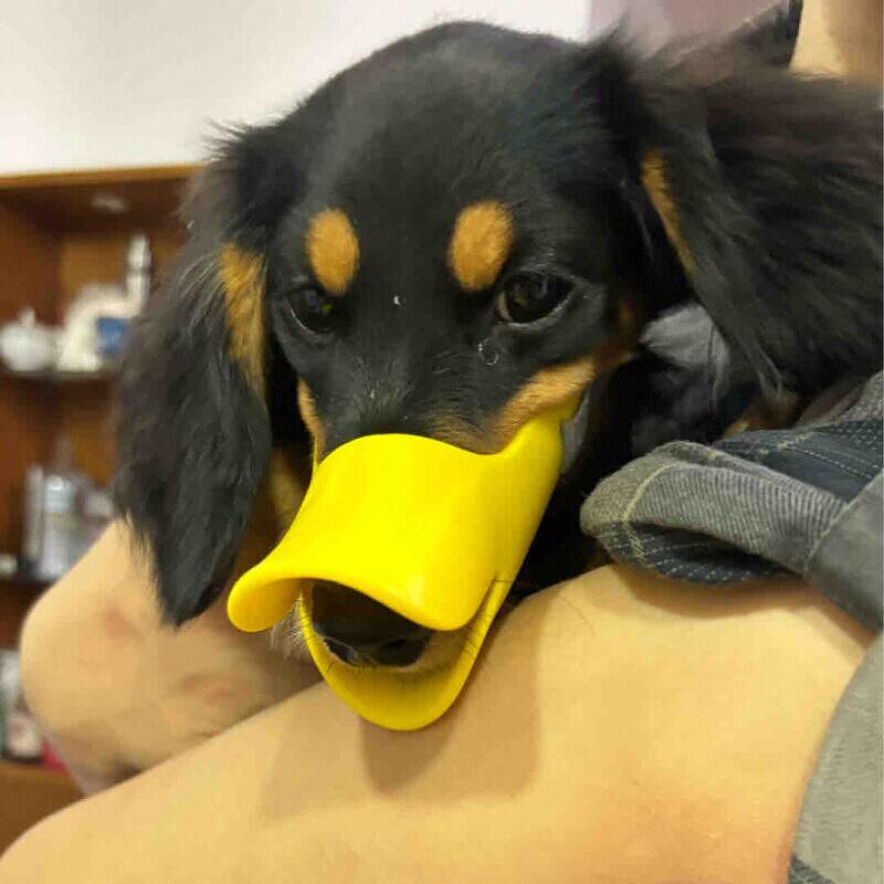 Silikonowy kaganiec dla psa w  – Dog Muzzle Silicone recenzja i cena