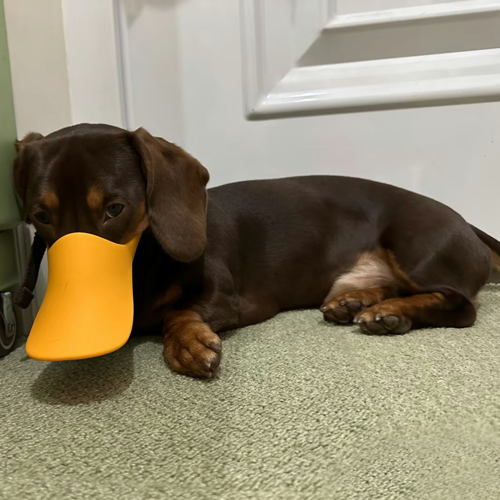 Silikonowy kaganiec dla psa w  – Dog Muzzle Silicone recenzja i cena