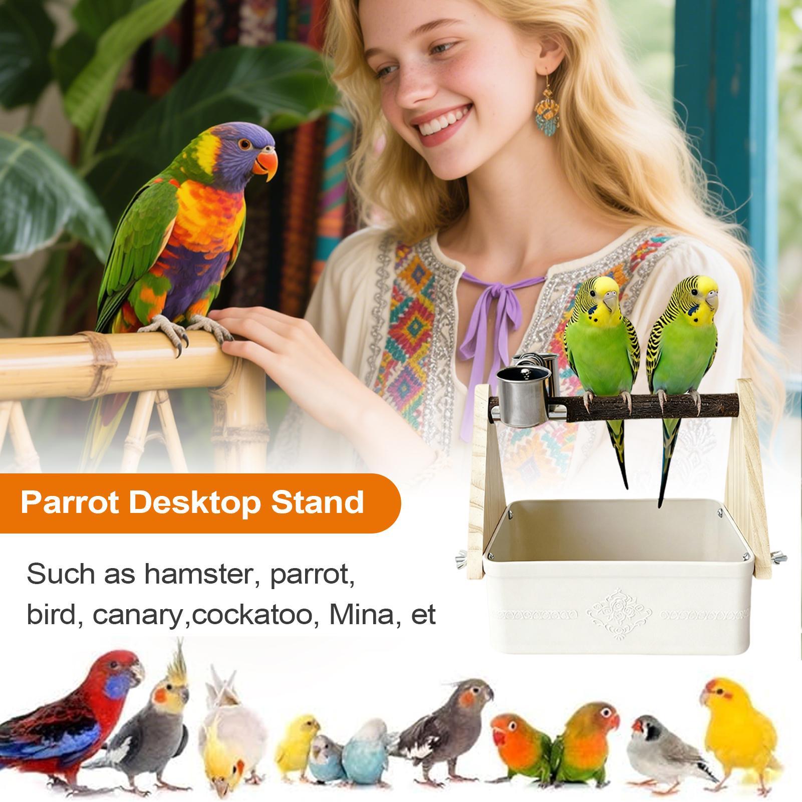 Stojak na stół dla ptaków, żer – Pet Supplies Zoo recenzja i cena