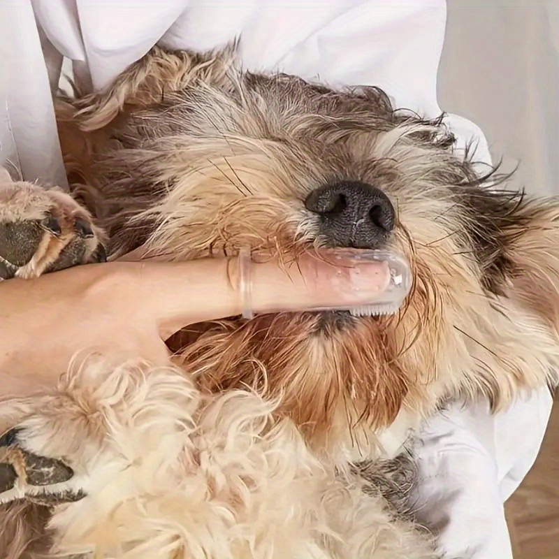 5 szczoteczek do zębów dla zwi – Dog Muzzle Silicone recenzja i cena