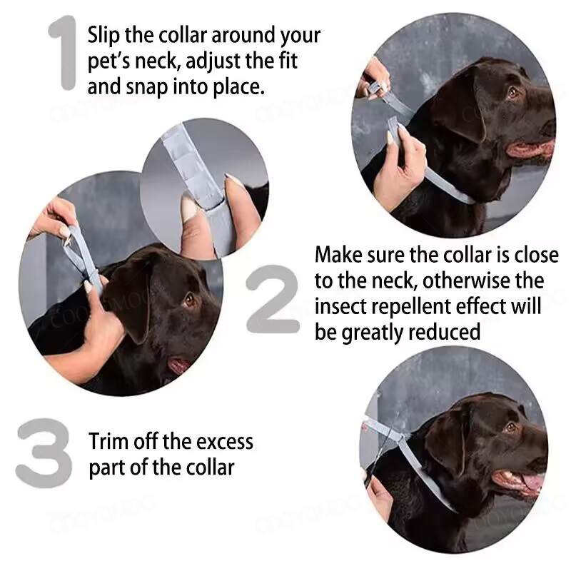 Obroże dla psów, szczeniąt i k – Dog Muzzle Silicone recenzja i cena